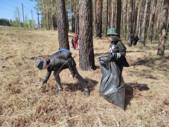 В Красноярском крае школьники вышли на уборку мусора в природный парк «Ергаки»