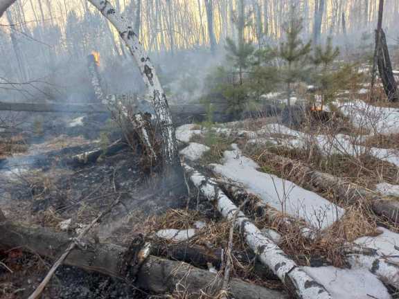 В Иркутской области потушили 2 лесных пожара