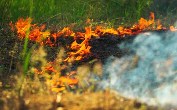 В Красноярском крае ликвидировали лесные пожары на площади в 115 га