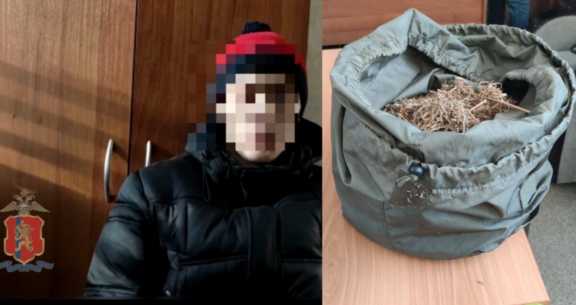 Жителя Красноярского края задержали с полным рюкзаком конопли