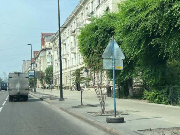 Красноярцы жалуются на засыхающие клумбы и кустарники на улицах