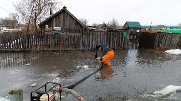 Алтайский край затопило