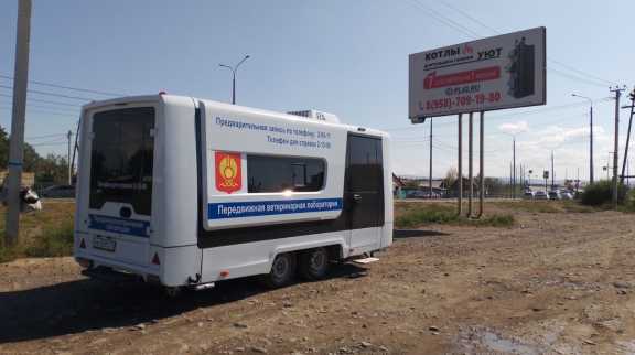 В Туве продолжает работу мобильная ветеринарная клиника