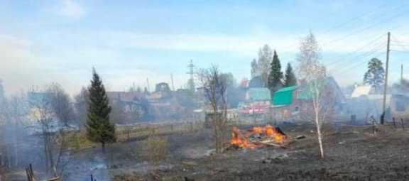В Томской области потушили 51 лесной пожар с начала года