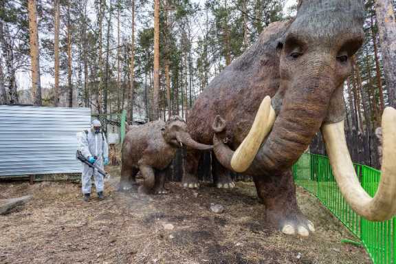 В Красноярске парк «Роев ручей» обработали от клещей