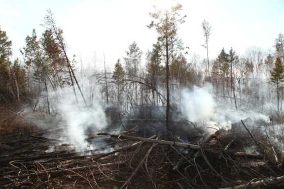 Два лесных пожара потушили за минувшие сутки в Иркутской области