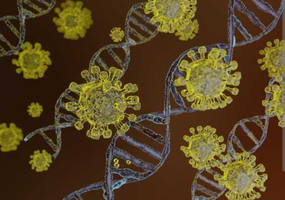 Ещë 73 человека заразились коронавирусом в Приангарье
