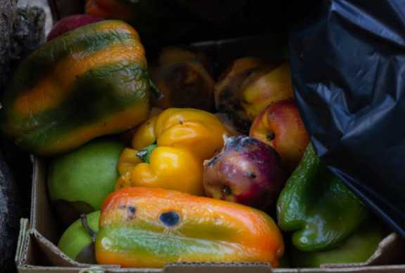 В Красноярском крае магазины сети «Светофор» продавали заплесневелые овощи