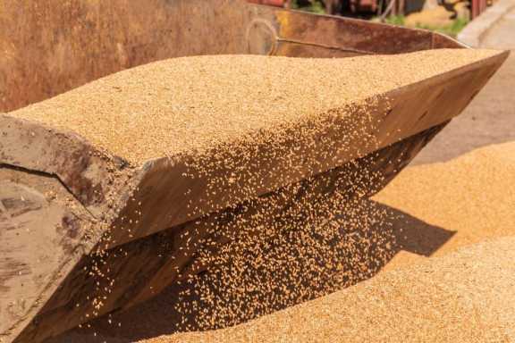 Экспорт зерновых культур в Иркутской области вырос более чем в 5 раз
