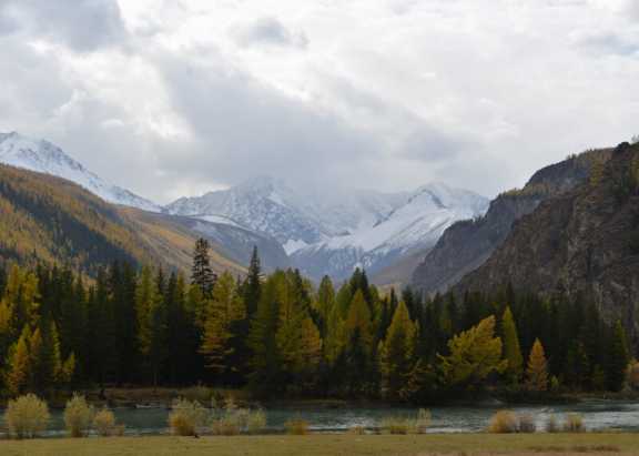 Экологическая акция «Чистые Горы – 2023» стартовала в Республике Алтай
