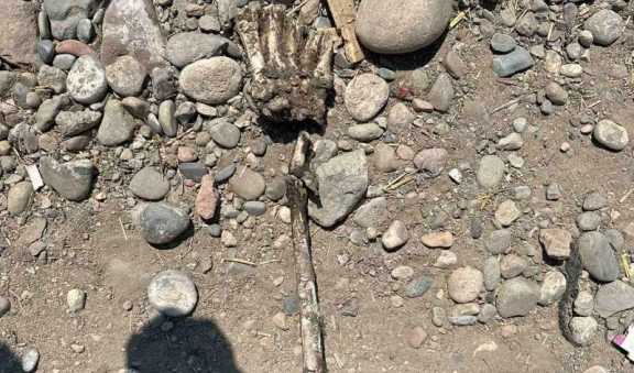 В Кызыле вновь нашли человеческие останки
