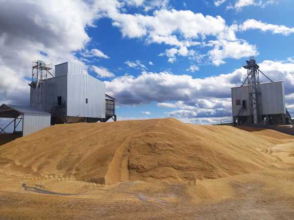 Аграрии Красноярского края преодолели рубеж в 3 миллиона тонн зерна