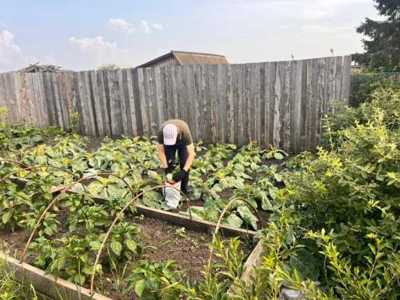 В Красноярском крае сельские жители пожаловались, что у них «насвинячил» агрохолдинг
