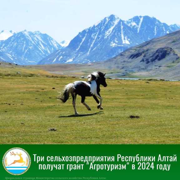 Три сельхозпредприятия Республики Алтай получат гранты на развитие сельского туризма в регионе 