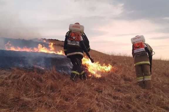 С начала пожароопасного сезона в Хакасии от огня пострадало 45 гектаров леса  