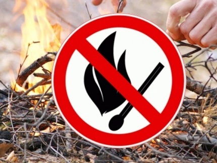 Глава Тувы потребовал принятий жёстких мер к виновникам природных пожаров