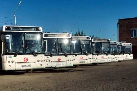 10 перевозчиков для автобусных маршрутов ищут в мэрии Красноярска