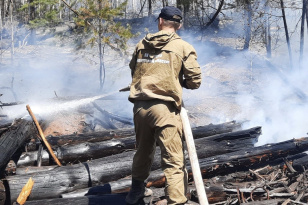 В Иркутской области потушили лесной пожар, площадью 15 гектаров