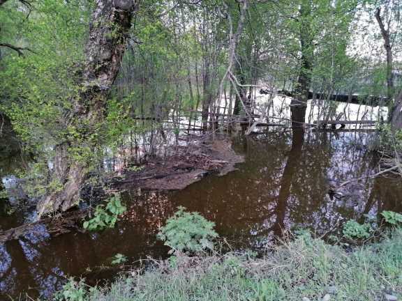 В Томской области ожидается подъём уровня реки