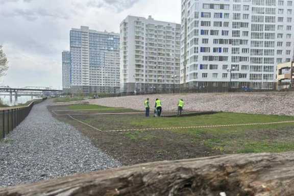 В микрорайоне «Тихие Зори» Красноярска появится площадка для выгула собак