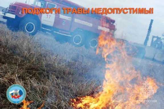 В Алтайском крае на этой неделе сохранится высокая опасность природных пожаров