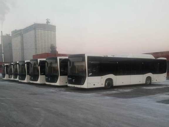 В Омск пришли ещё 11 автобусов марки НЕФАЗ