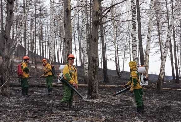 На выходных в Красноярском крае потушено 2 лесных пожара