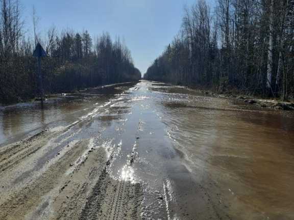 Дороги Томской области залило водой