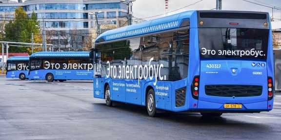 В Красноярске негде разместить 11 планируемых к закупке электробусов