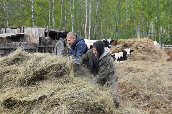 В Красноярском крае грант для начинающих аграриев увеличили до 8 млн рублей