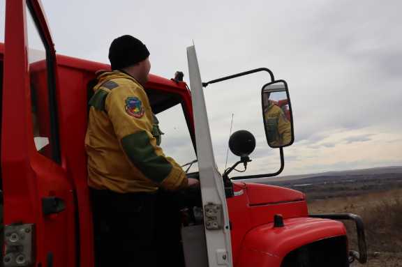 В майские праздники усилят патрулирование лесов Красноярского края