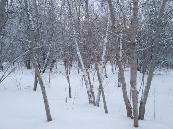 Прогноз погоды в Красноярске на 21 января