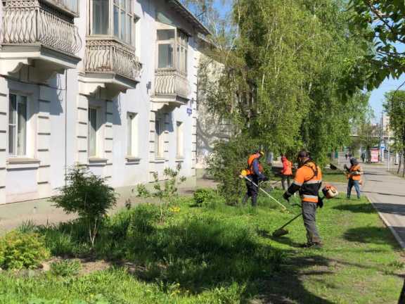 В Красноярске продолжили борьбу с травой