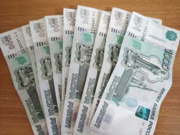 Бюджетникам Новосибирской области на 7,5% проиндексируют зарплату 