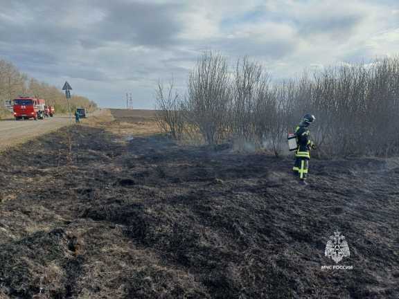 54 административных дела возбудили в Красноярском крае за выжигание сухой травы