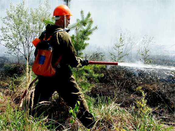 В СФО наибольшая площадь лесных пожаров сегодня в Хакасии