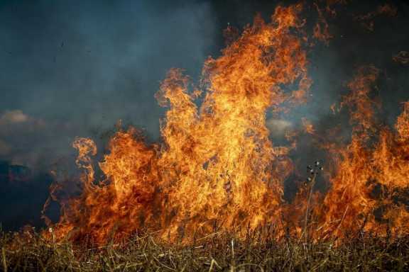 В Республике Алтай объявили начало пожароопасного сезона 