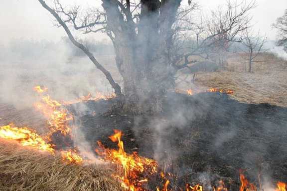 5 лесных пожаров потушили в Иркутской области за прошедшие сутки