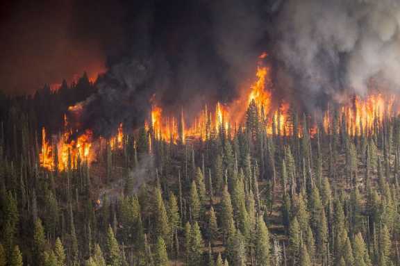 В лесах Томской области усиливают пожарный мониторинг