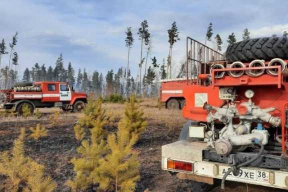 Три лесных пожара за сутки потушили в Иркутской области