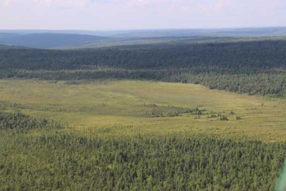 В 4-х лесничествах Иркутской области объявлено начало пожароопасного сезона