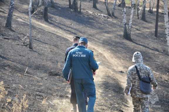 Виновнику лесного пожара в Иркутской области назначили 250 часов обязательных работ