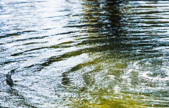 В Хакасии прогнозируют повышение уровня воды в реке Абакан 