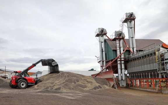 Производители масличных культур в Красноярском крае получат 51,5 миллиона рублей