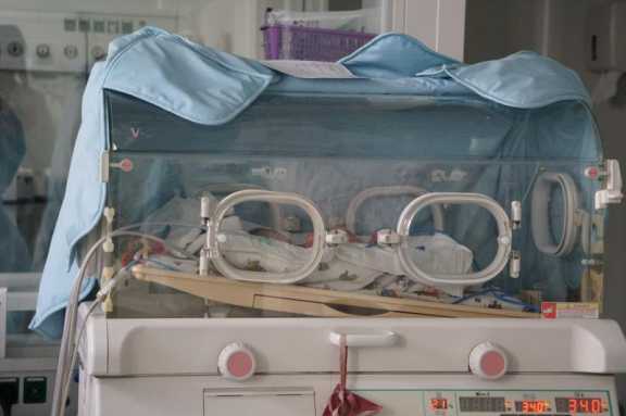 В Иркутске спасли новорожденного с самой редкой группой крови с нулевым резус-фактором