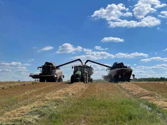 Томские аграрии убрали урожай почти с половины посевных площадей области