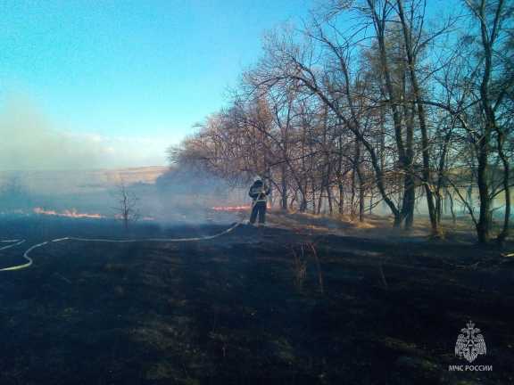 На выходных в Красноярском крае ликвидировали два лесных пожара 