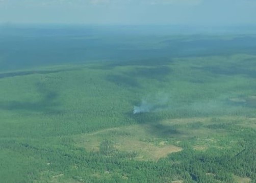 На выходных в Красноярском крае ликвидировали 8 лесных пожаров, 1 ещё тушат