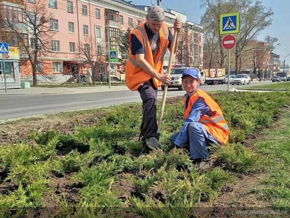 В Барнауле высадили более полутора тысяч многолетних растений 