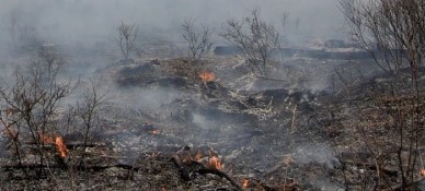 В Хакасии завершился пожароопасный сезон в лесах 